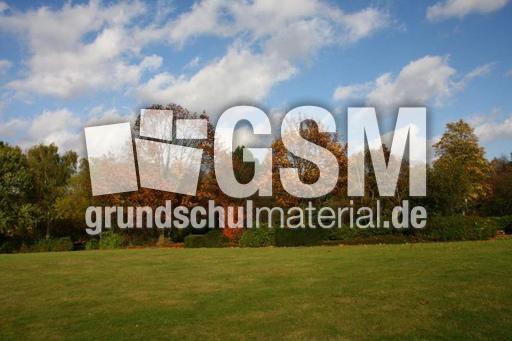 Herbststimmung-25-10-09 005.jpg